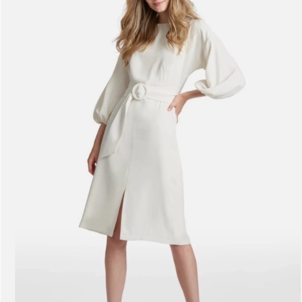 Sachin + Babi “Annie” dress in Ivy NWT